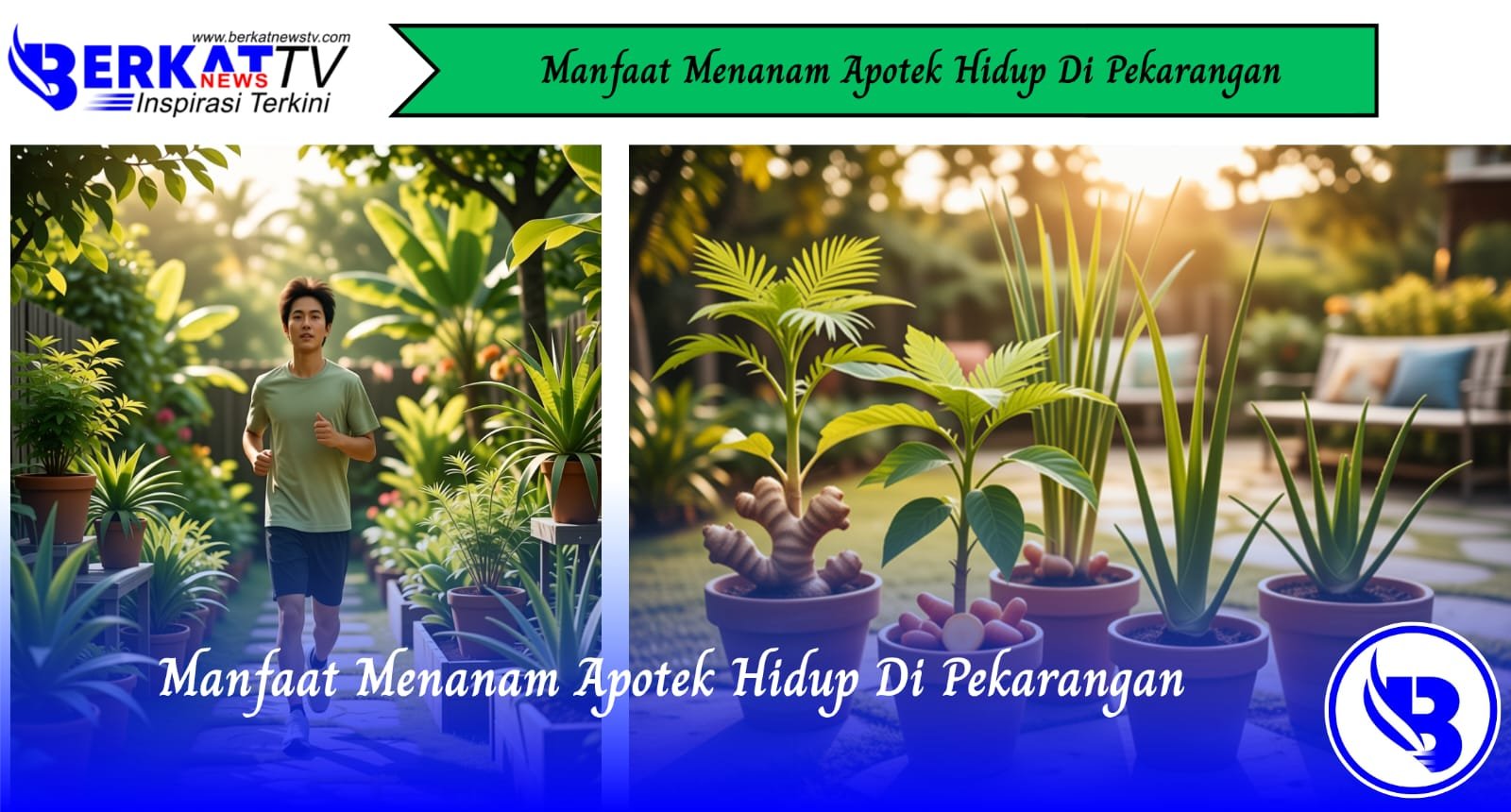 Manfaat Menanam Apotek Hidup di Pekarangan