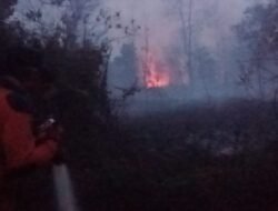 Karhutla di Kalbar Hanguskan 28 Ribu Hektare