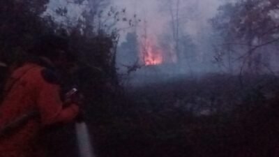 Karhutla di Kalbar Hanguskan 28 Ribu Hektare