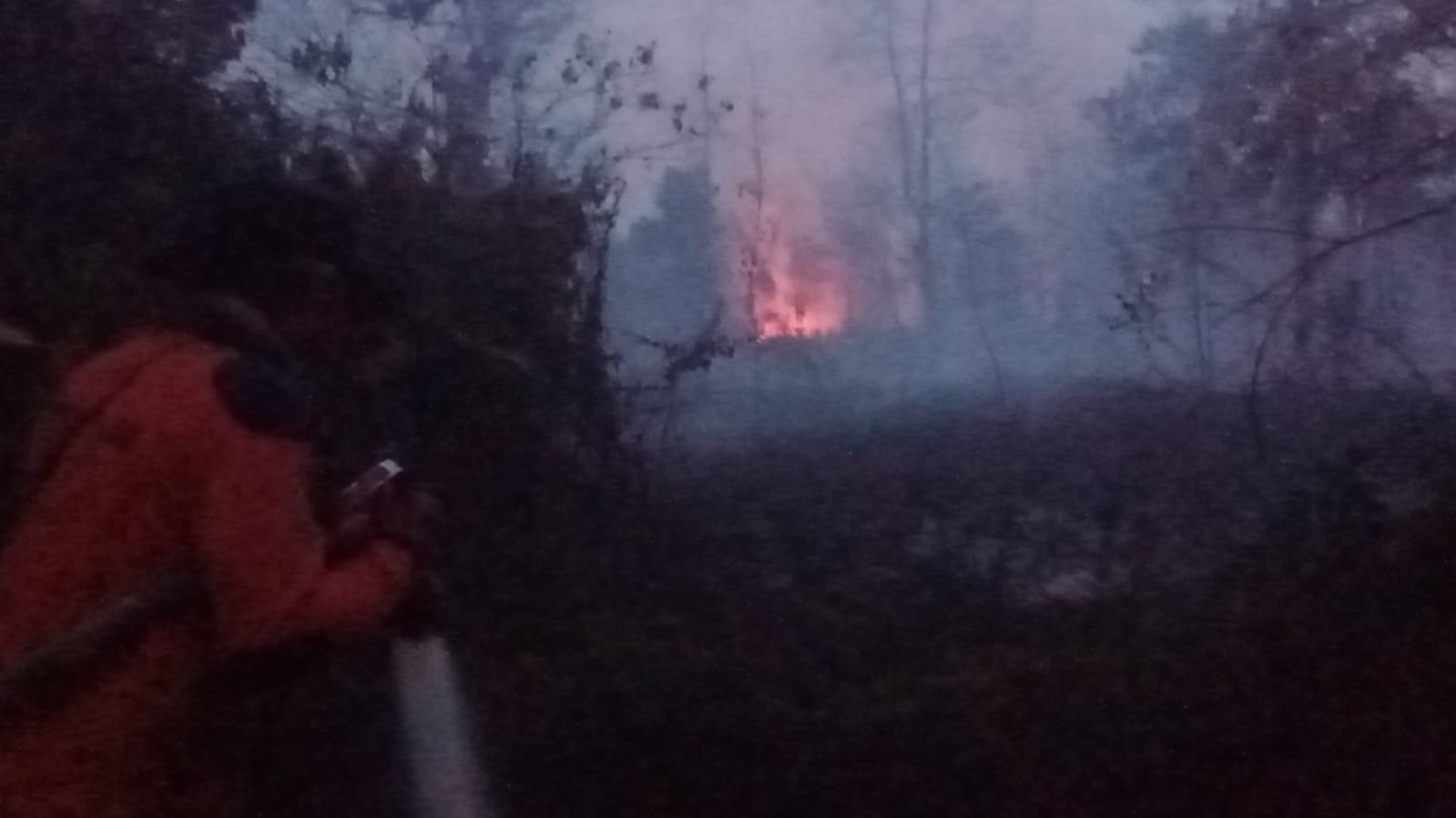 Karhutla di Kalbar Hanguskan 28 Ribu Hektare