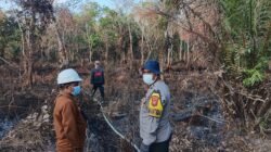 Developer Diingatkan Bahaya Karhutla