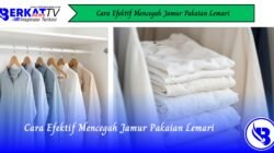 Cara Efektif Mencegah Jamur Pakaian Lemari