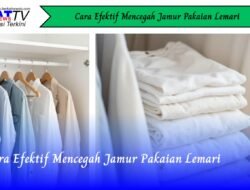 Cara Efektif Mencegah Jamur Pakaian Lemari