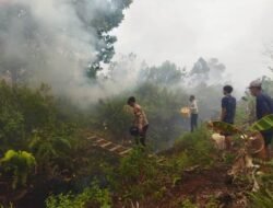 Warga Dievakuasi Akibat Karhutla Dekati Perumahan