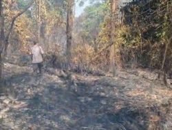 Karhutla di Tayan Hilir Hanguskan Tiga Hektare