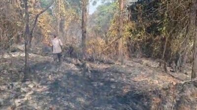 Karhutla di Tayan Hilir Hanguskan Tiga Hektare