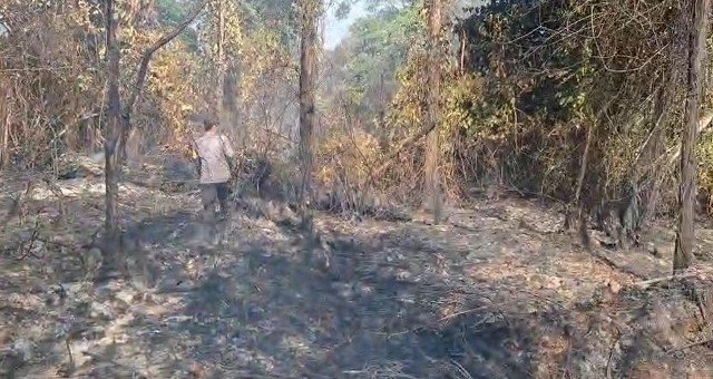 Karhutla di Tayan Hilir Hanguskan Tiga Hektare