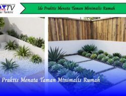 Ide Praktis Menata Taman Minimalis Rumah