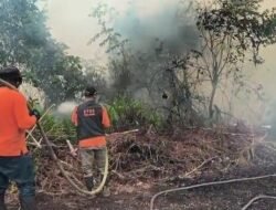 90 Persen Karhutla di Kalbar Sengaja Dibakar