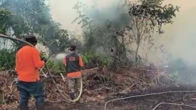 90 Persen Karhutla di Kalbar Sengaja Dibakar