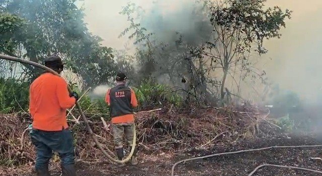 90 Persen Karhutla di Kalbar Sengaja Dibakar