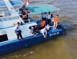 Penyu Sisik Tersangkut Jaring Nelayan. Empat Hari Diobservasi dan Dilepaskan