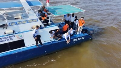 Penyu Sisik Tersangkut Jaring Nelayan. Empat Hari Diobservasi dan Dilepaskan