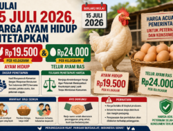 Mulai 15 Juli 2026, Harga Ayam Hidup Ditetapkan Rp19.500 dan Telur Rp24.000