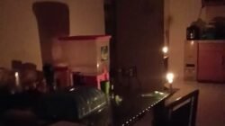 PLN Kalbar Perkirakan Perbaikan Mesin Seminggu. Penyebab Bukan Krisis Batu Bara