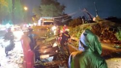 Penumpang Kendaraan Tertimpa Pohon Besar Selamat
