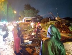 Penumpang Kendaraan Tertimpa Pohon Besar Selamat