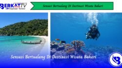 Sensasi Bertualang di Destinasi Wisata Bahari