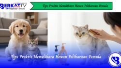 Tips Praktis Memelihara Hewan Peliharaan Pemula