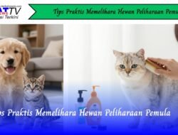 Tips Praktis Memelihara Hewan Peliharaan Pemula