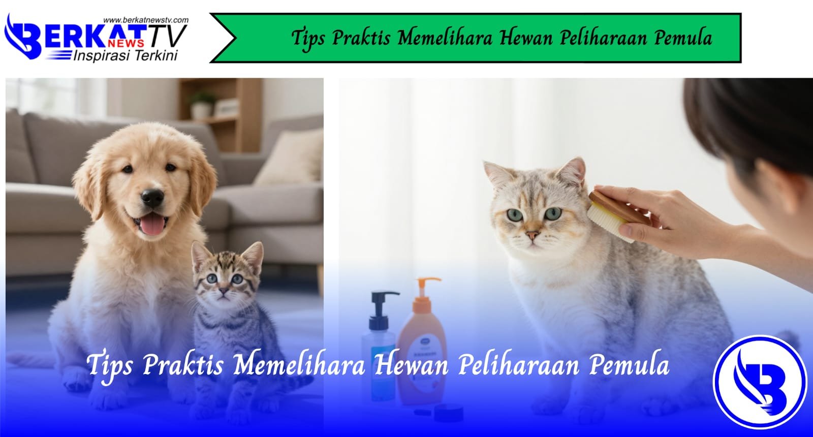 Tips Praktis Memelihara Hewan Peliharaan Pemula