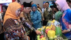 Transaksi Dagang Jawa Timur ke Kalbar Tembus Rp2,529 Triliun