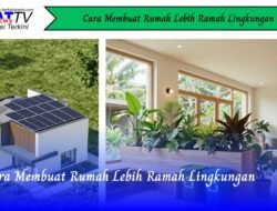 Cara Membuat Rumah Lebih Ramah Lingkungan