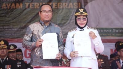 Kado 81 Tahun Kemerdekaan, Gorut Kerjasama AGK Bangun Industri Ternak Ayam 200 Ribu Ekor. Ciptakan Ribuan Lapangan Kerja