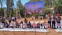 Swasembada Bawang Putih Dimulai, Firman’s Grup Penyedia Bibit