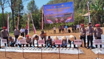 Swasembada Bawang Putih Dimulai, Firman's Grup Penyedia Bibit