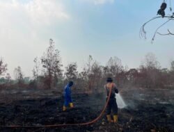 254 Titik Api di Kubu Raya