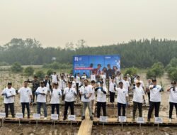 14 Ribu Bibit Mangrove Hijaukan Pesisir Desa Sungai Kupah