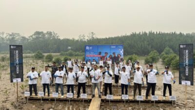 14 Ribu Bibit Mangrove Hijaukan Pesisir Desa Sungai Kupah