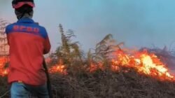 Kalbar Darurat Bencana Asap, Komando Satgas Dibentuk