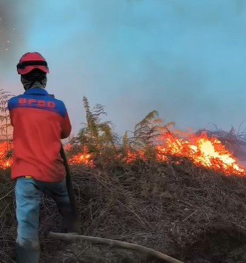 Kalbar Darurat Bencana Asap, Komando Satgas Dibentuk