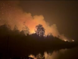 Petugas Harus Seberangi Sungai dan Jalan Kaki Padamkan Kobaran Api
