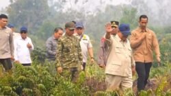Presiden Intruksikan Gubernur Kalbar Cabut Perda Buka Lahan