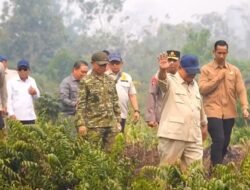 Presiden Intruksikan Gubernur Kalbar Cabut Perda Buka Lahan