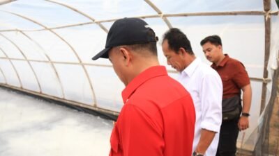 Jadikan Paloh Sentra Garam Kalbar