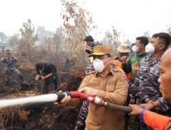 Tujuh Perusahaan di Kalbar Diduga Biang Kerok Karhutla