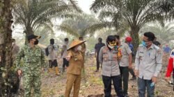 50 Hektare Lahan Sawit Terbakar