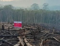Prabowo Perintahkan Lima Perusahaan HTI di Kalbar Dibekukan