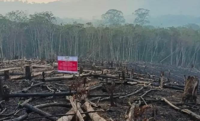 Prabowo Perintahkan Lima Perusahaan HTI di Kalbar Dibekukan