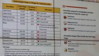 Pangan dan Sembako Naik Picu Inflasi Kalbar Naik