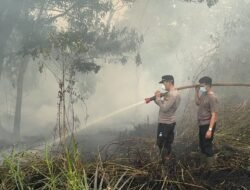 Hujan Buatan Turun, Api Muncul Dari Dalam Gambut