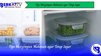 Tips Menyimpan Makanan Agar Tetap Segar