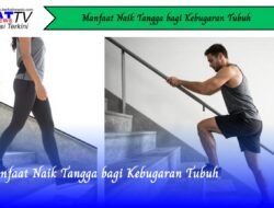 Manfaat Naik Tangga bagi Kebugaran Tubuh