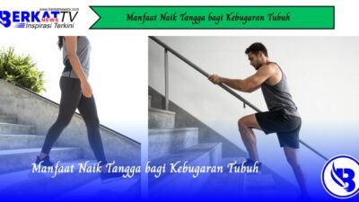 Manfaat Naik Tangga bagi Kebugaran Tubuh