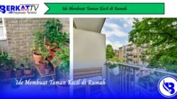 Ide Membuat Taman Kecil di Rumah