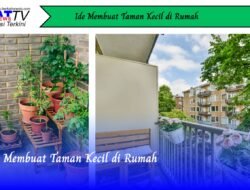 Ide Membuat Taman Kecil di Rumah